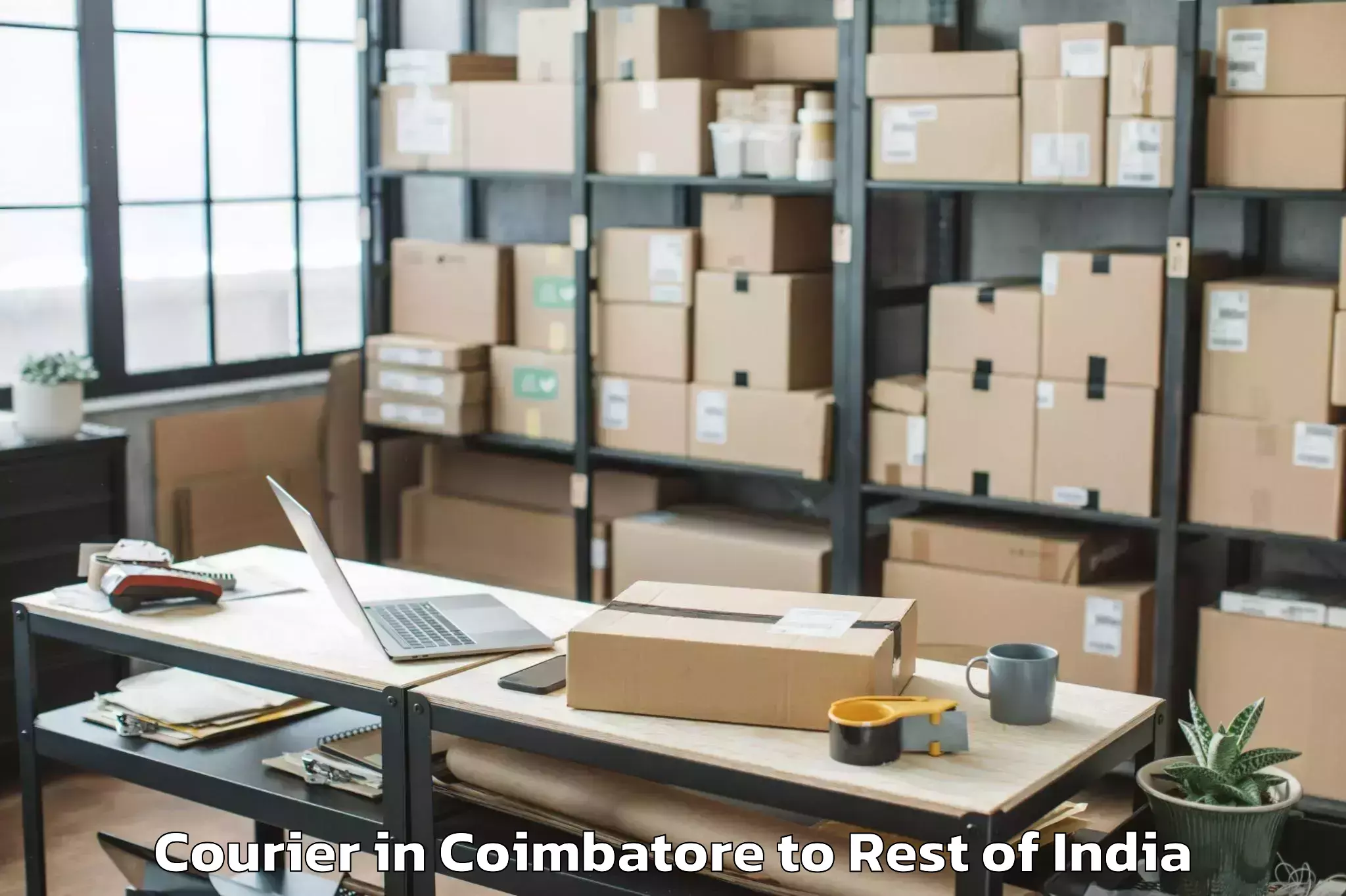 Reliable Coimbatore to Tipparthy Courier